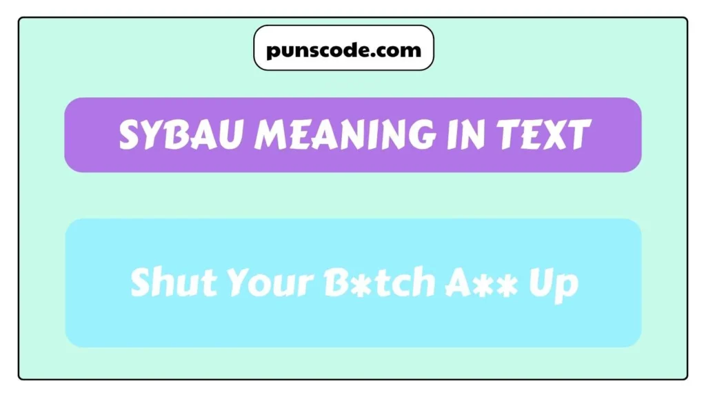 SYBAU Meaning in Text