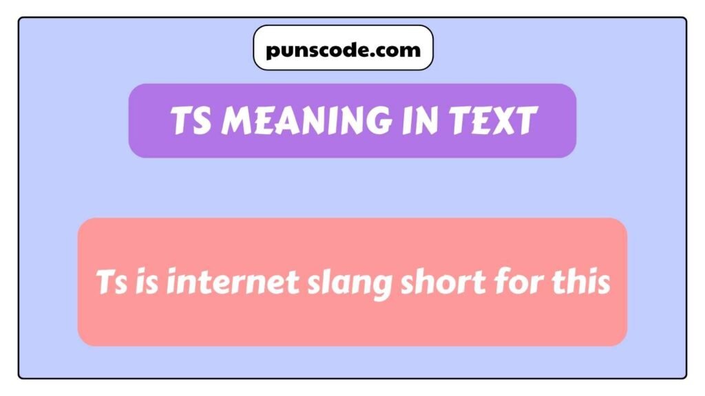 TS Meaning in Text