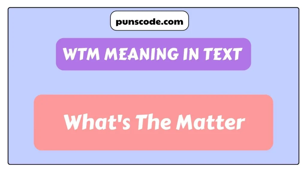 WTM Meaning in Text